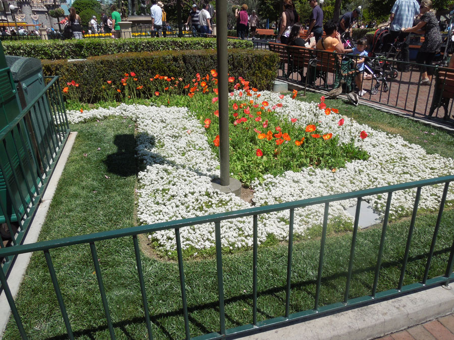 Disneyland Center Circle Picture